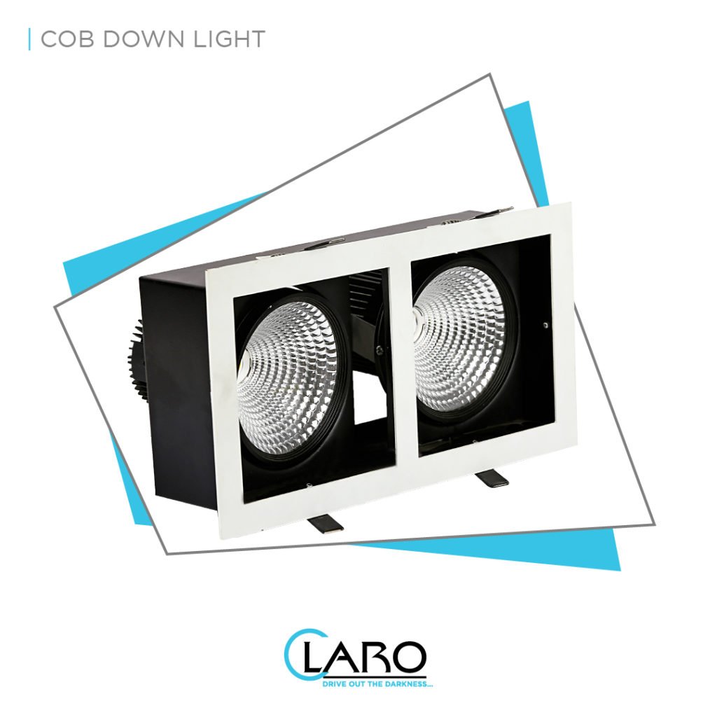 COB Down Light