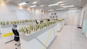 Commercial LED Lighting