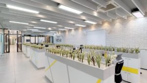 Best Commercial LED Lighting in Delhi