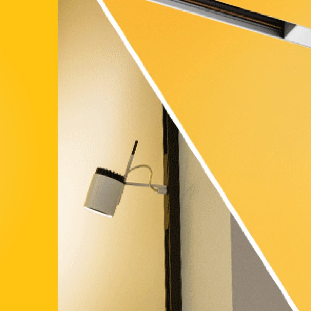 magnetic light