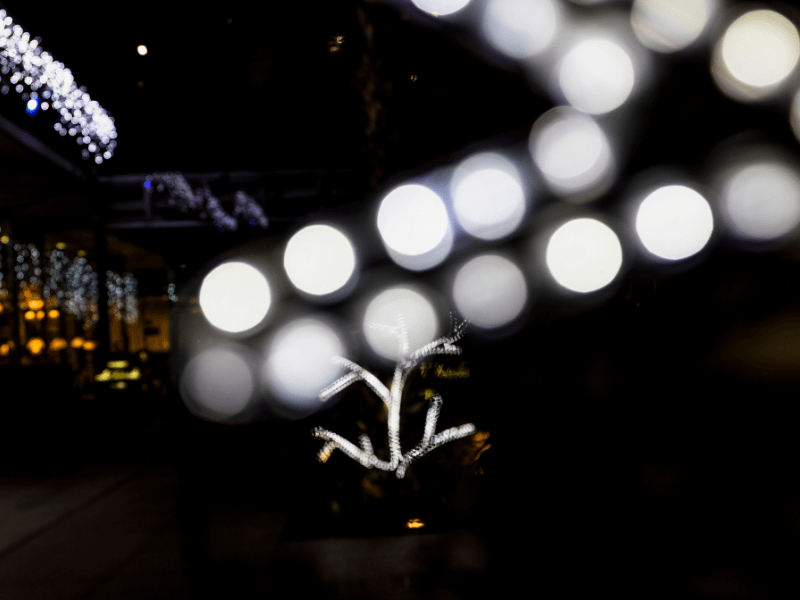 You are currently viewing What Type of Outdoor LED Lights Should You Use?